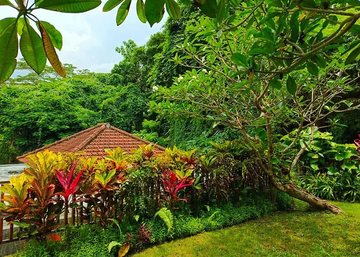 Malathi Private With Jungle View * Ubud